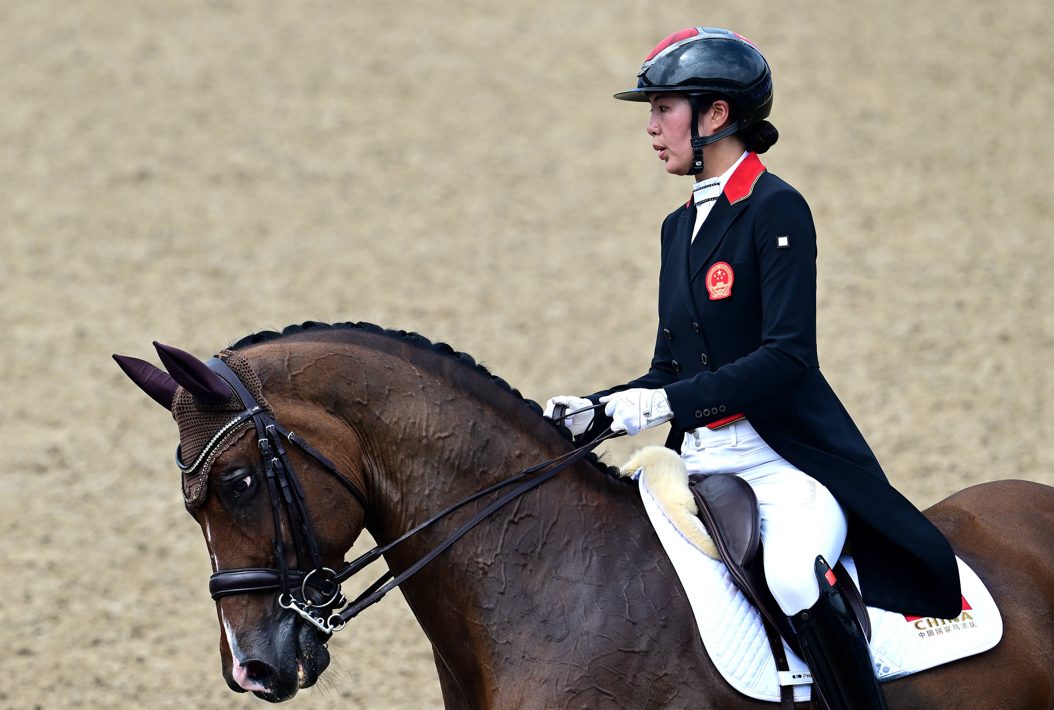 开云官网-加拿大奥运马术选手获得金牌