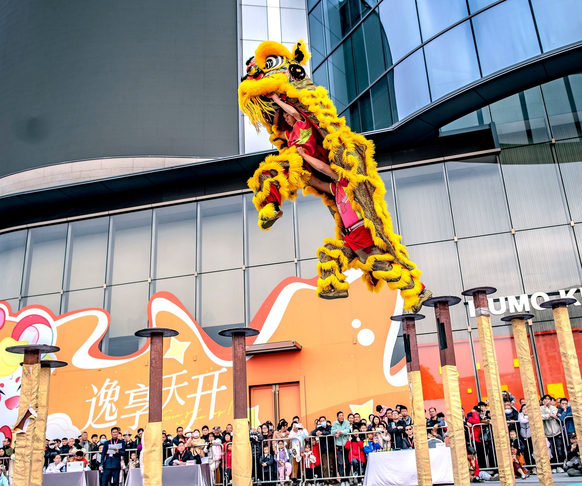 开云下载-江苏龙狮前景一片光明，球队潜力巨大的简单介绍