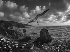 林丹亲述转会心路历程 林丹亲述转会心路历程