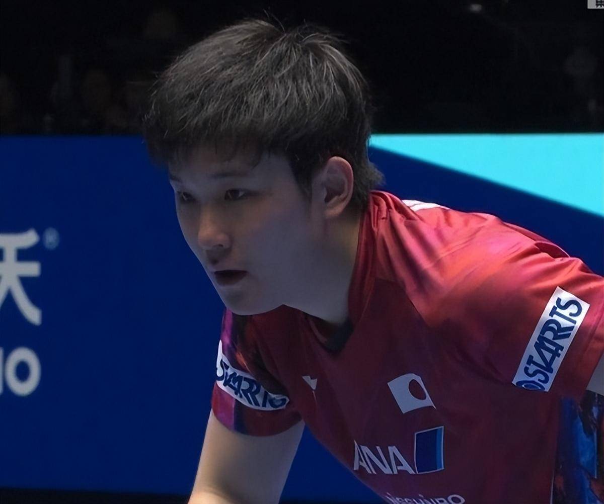开云体育登录-日本乒乓球队力克法国乒乓球队，张本智和爆发神勇的简单介绍