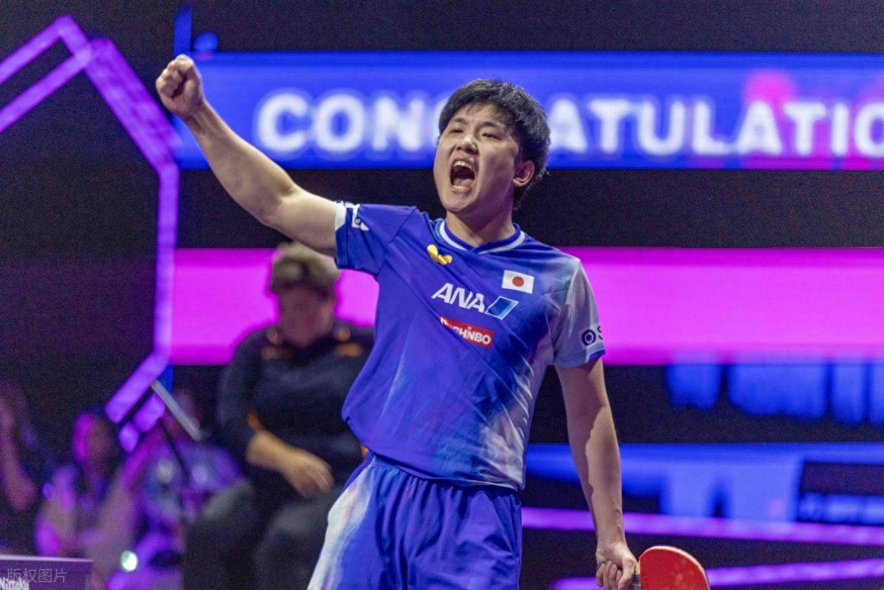 日本乒乓球队力克法国乒乓球队，张本智和爆发神勇的简单介绍