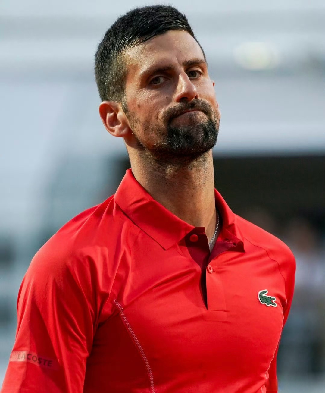 开云下载-德国网球队鏖战世界网球队，德约科维奇高光表现的简单介绍